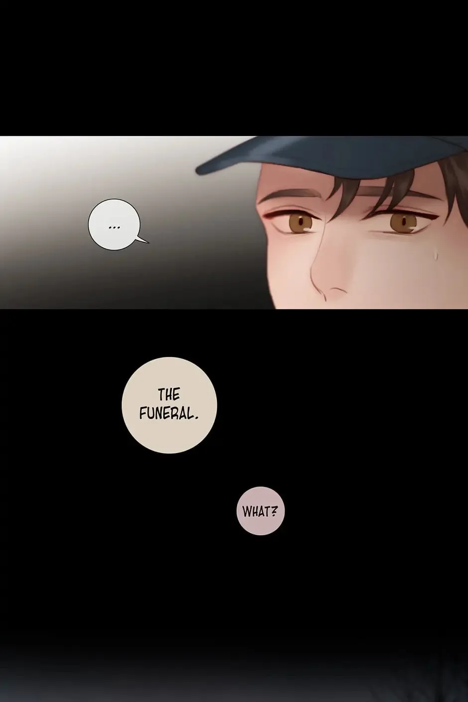 The Portrait Chapter 71 page 41 - 