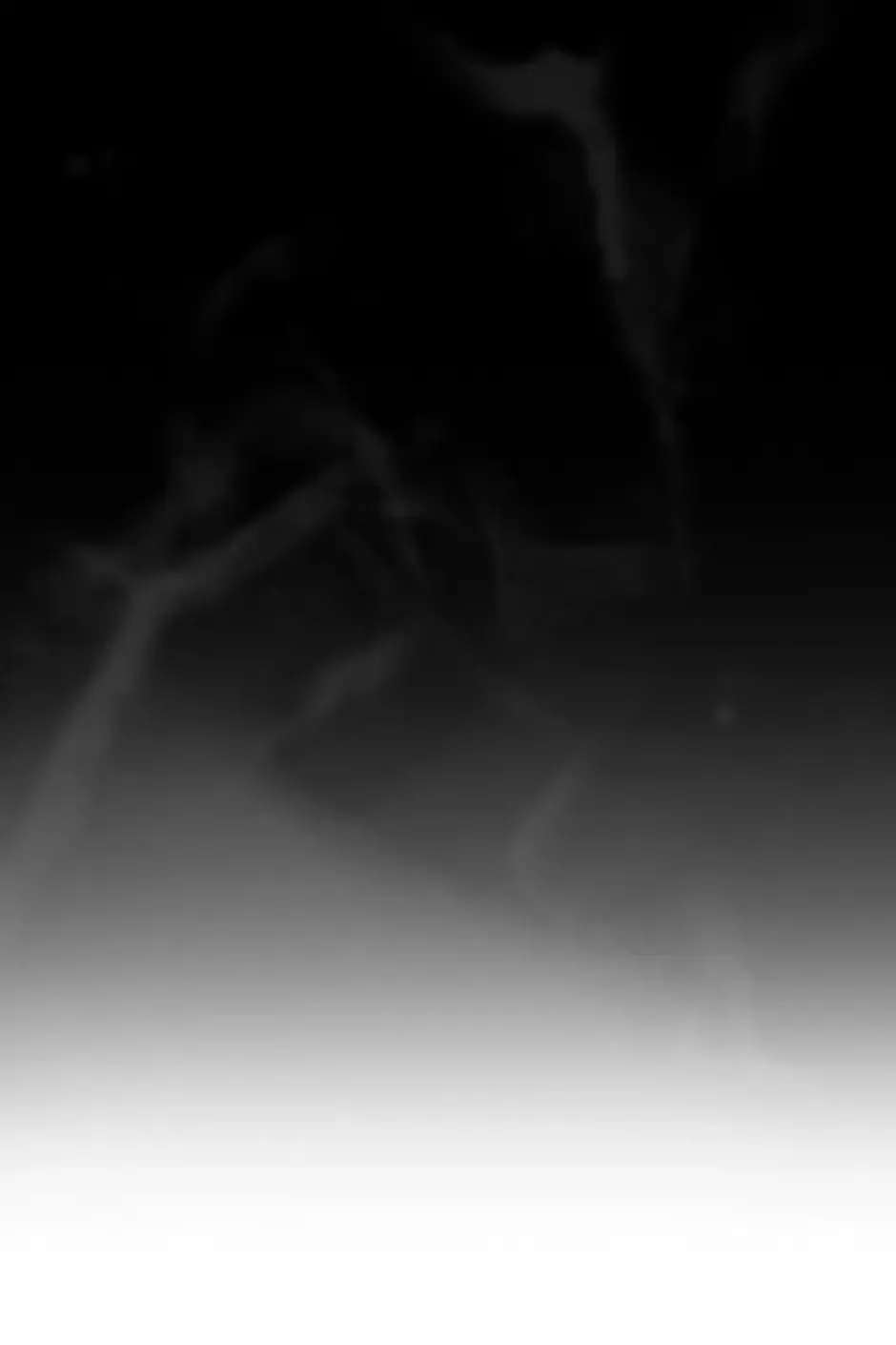 The Portrait Chapter 78 page 20 - 