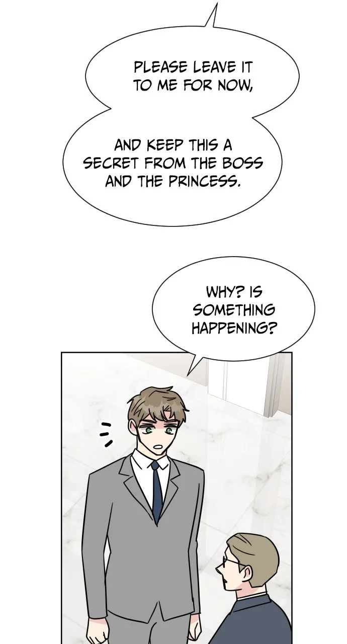The Princess and the Boss Chapter 48 page 9 - 