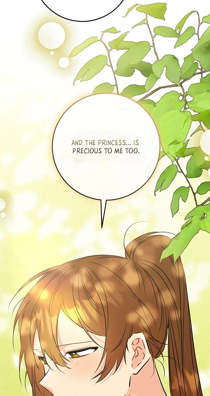 The Princess's Guide to a Perfect Life Chapter 94 page 44 - 