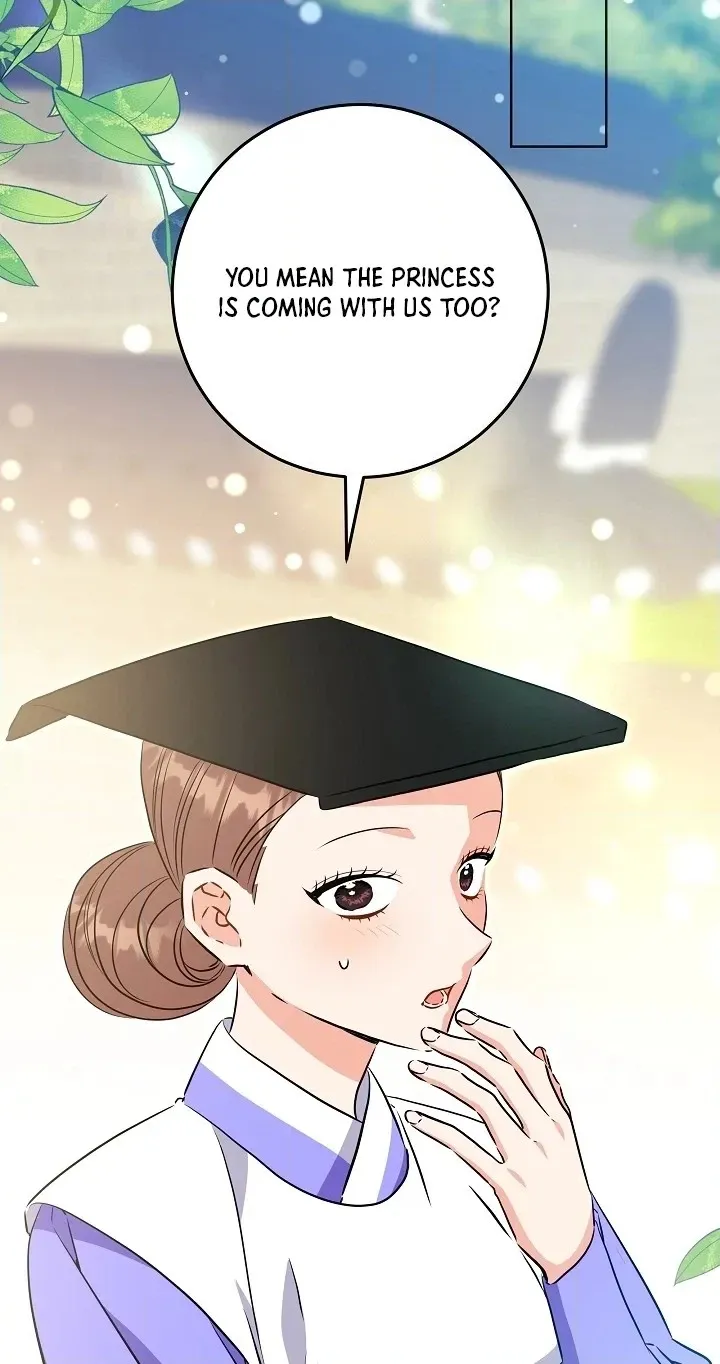 The Princess's Guide to a Perfect Life Chapter 95 page 20 - 