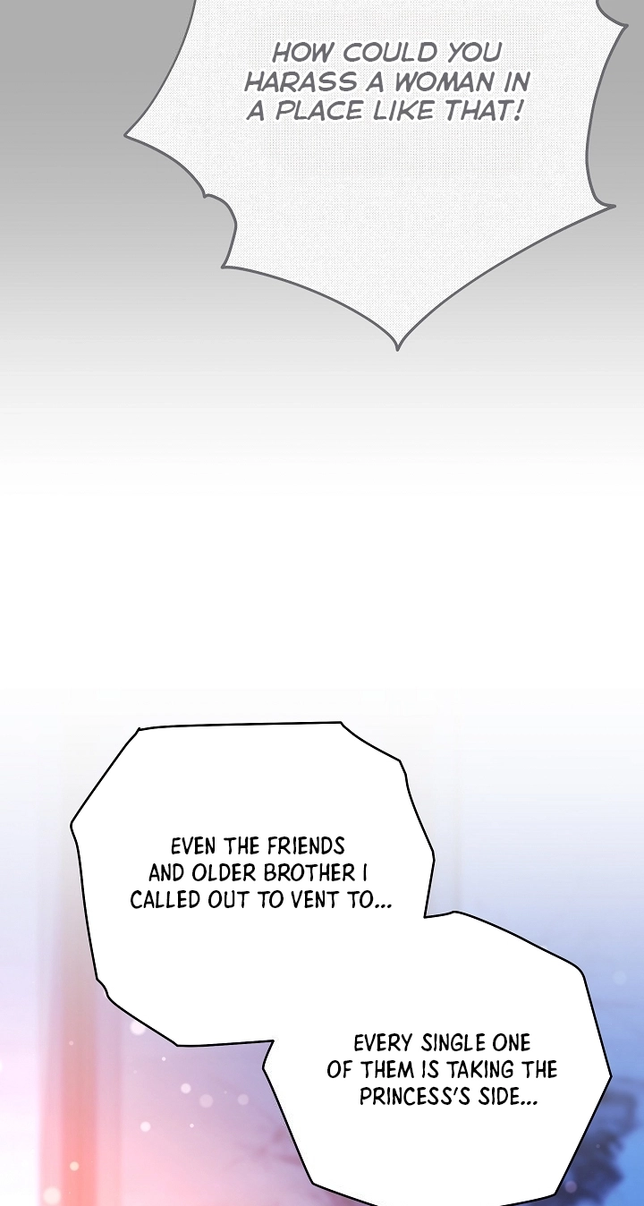 The Princess's Guide to a Perfect Life Chapter 96 page 47 - 