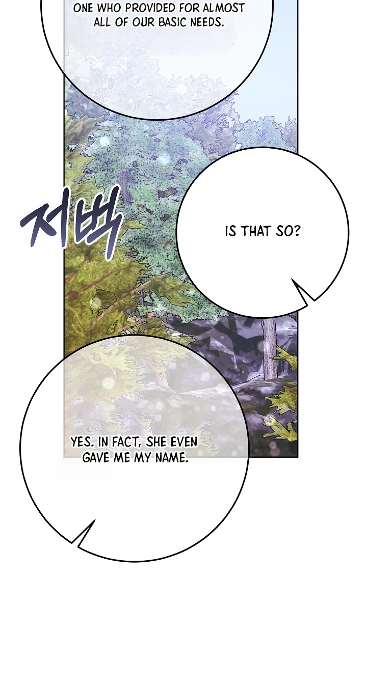 The Princess's Guide to a Perfect Life Chapter 97 page 71 - 