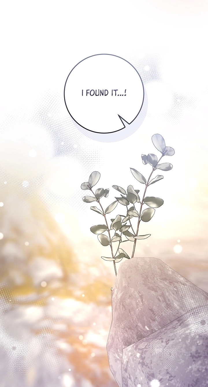 The Princess's Guide to a Perfect Life Chapter 97 page 90 - 