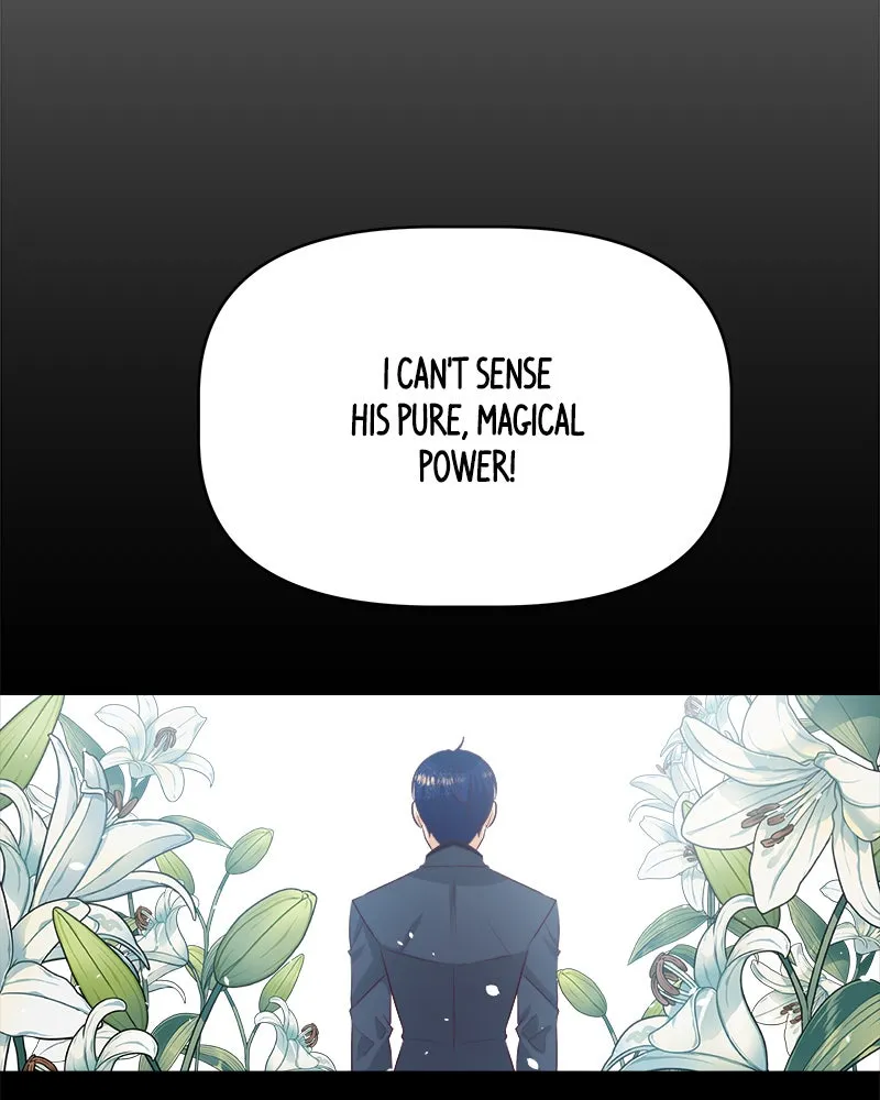 The Princess's Jewels Chapter 34 page 91 - 