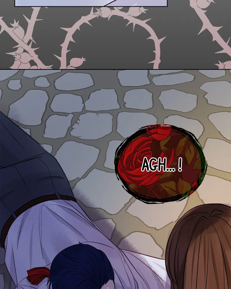 The Princess's Jewels Chapter 34 page 98 - 