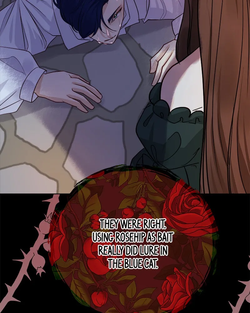 The Princess's Jewels Chapter 34 page 99 - 