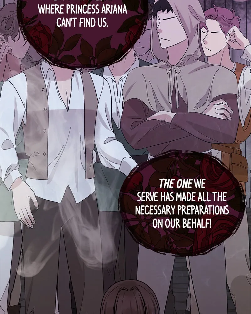 The Princess's Jewels Chapter 35 page 14 - 