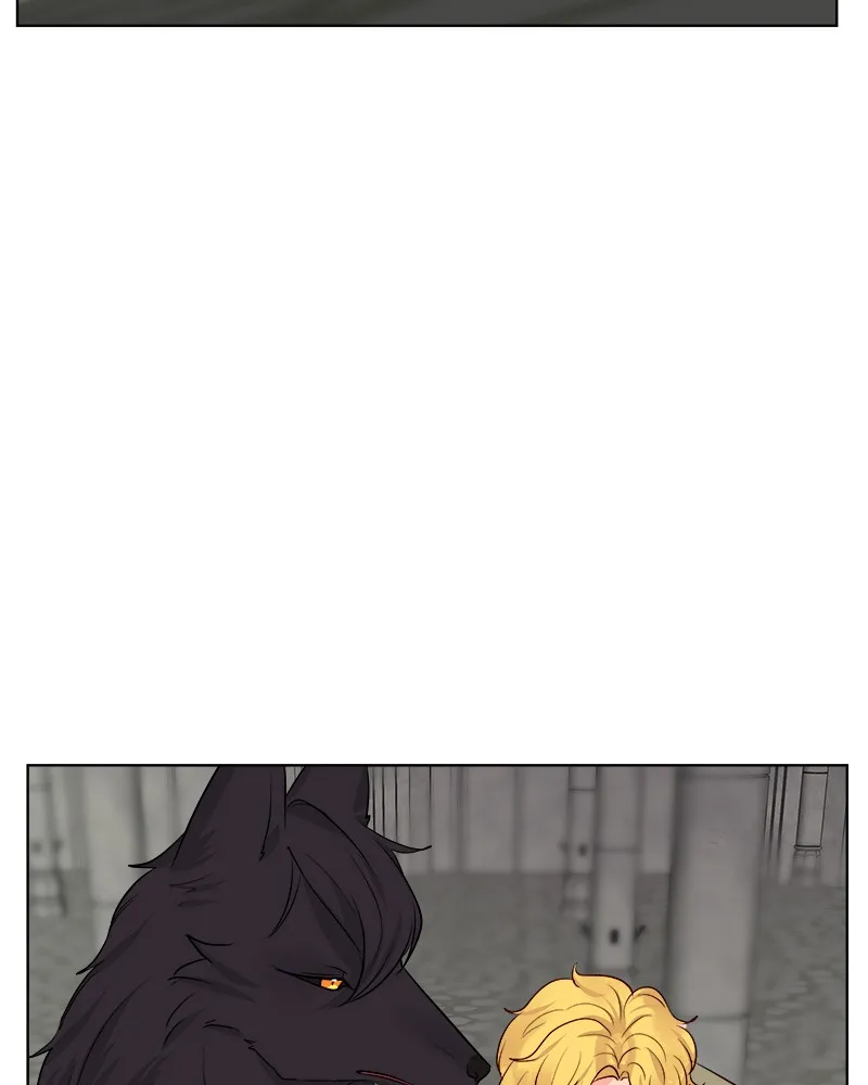 The Princess's Jewels Chapter 36 page 46 - 