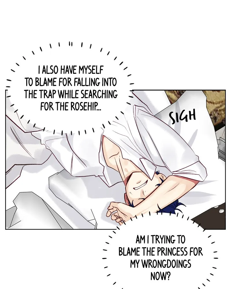 The Princess's Jewels Chapter 38 page 67 - 