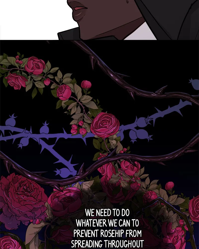 The Princess's Jewels Chapter 46 page 28 - 