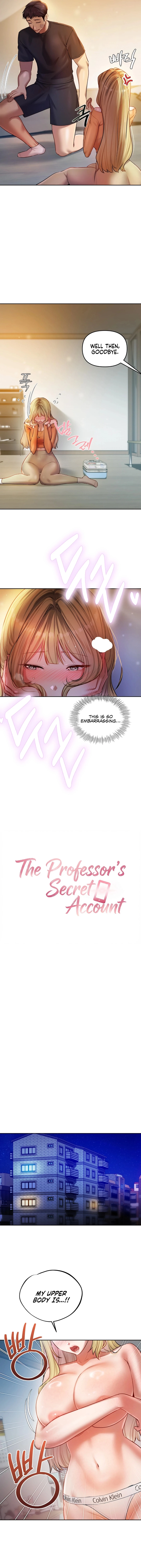 The Professor's Secret Account Chapter 29 page 3 - 