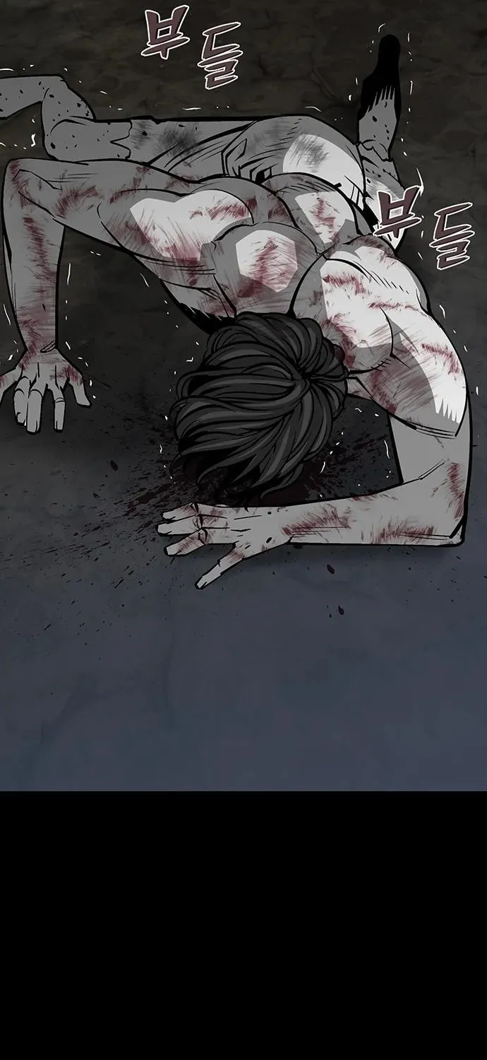The Protagonist's Hidden Strength Chapter 17 page 66 - 