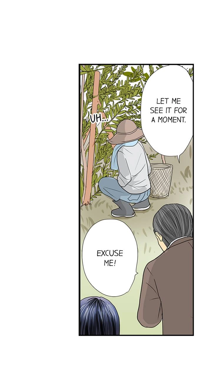 The Puppet Chapter 45 page 6 - 