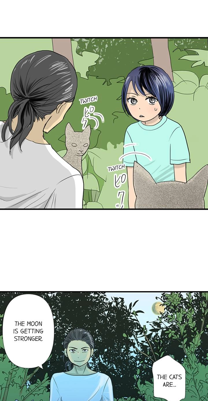 The Puppet Chapter 46 page 17 - 
