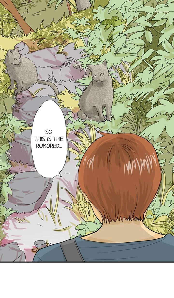 The Puppet Chapter 52 page 5 - 