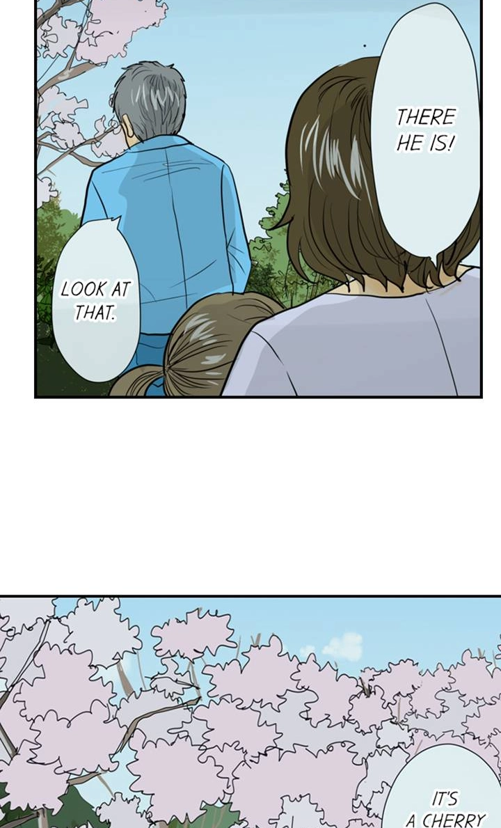 The Puppet Chapter 60 page 21 - 