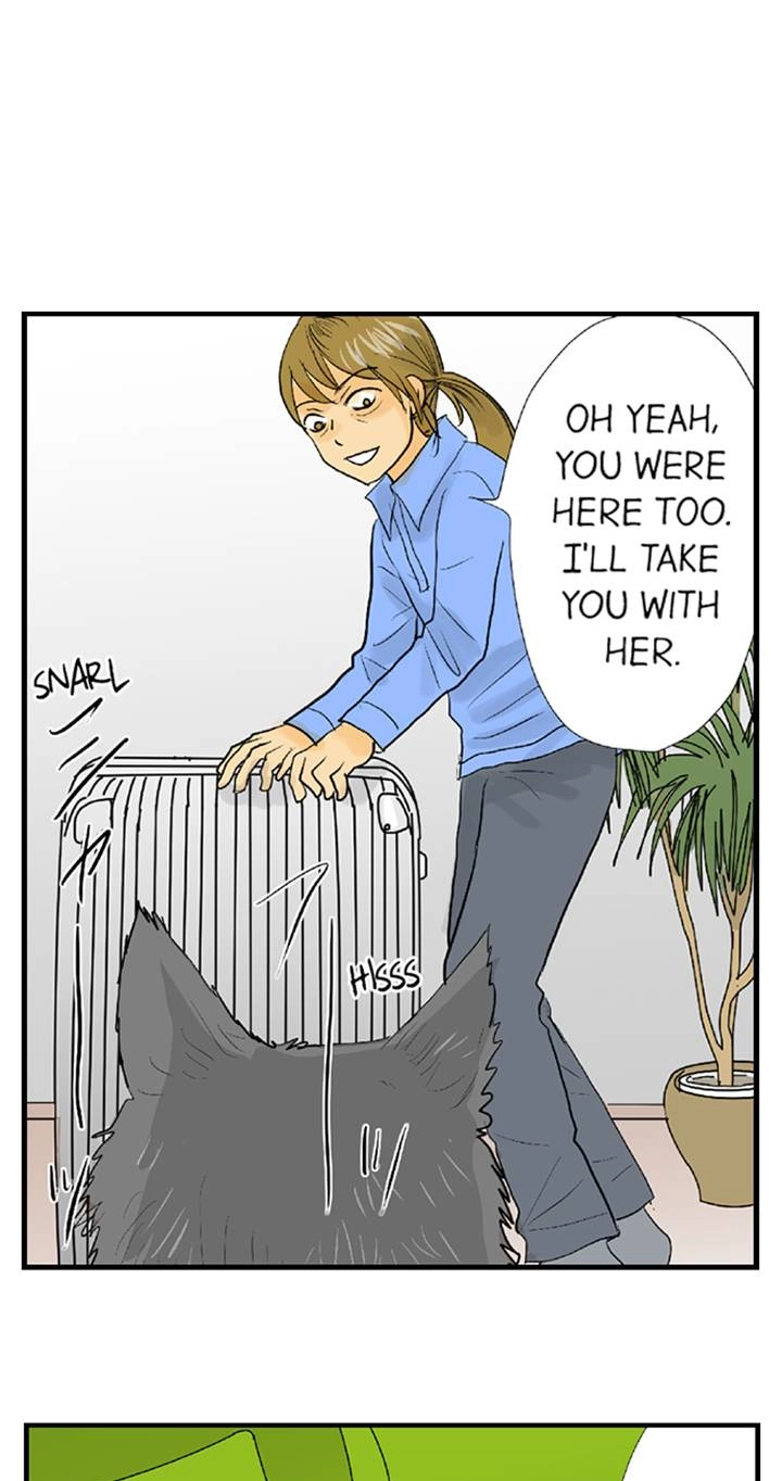 The Puppet Chapter 66 page 15 - 