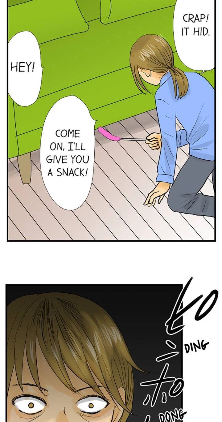 The Puppet Chapter 66 page 16 - 