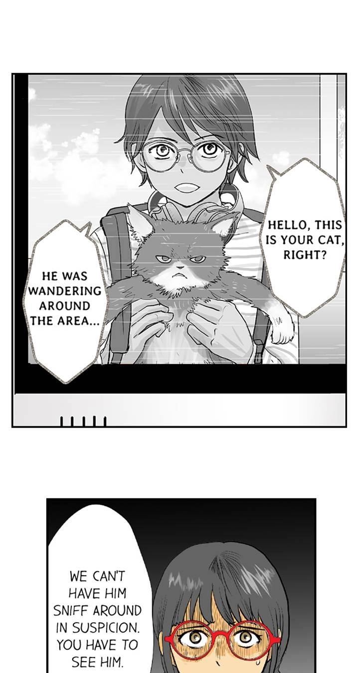 The Puppet Chapter 66 page 28 - 