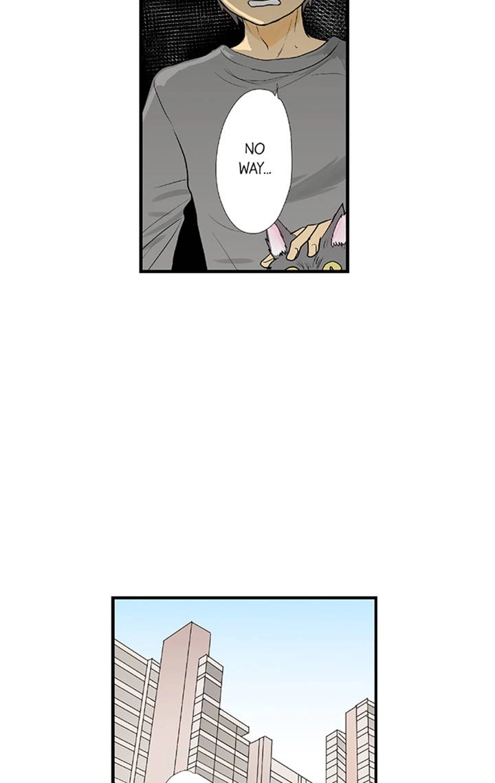The Puppet Chapter 67 page 6 - 