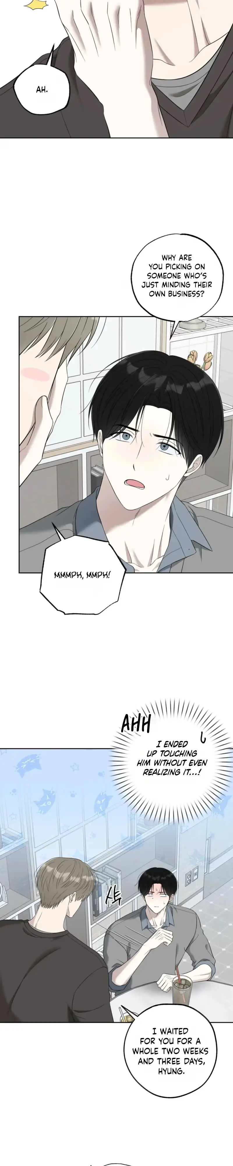 The Purrfect Match Chapter 40 page 16 - 