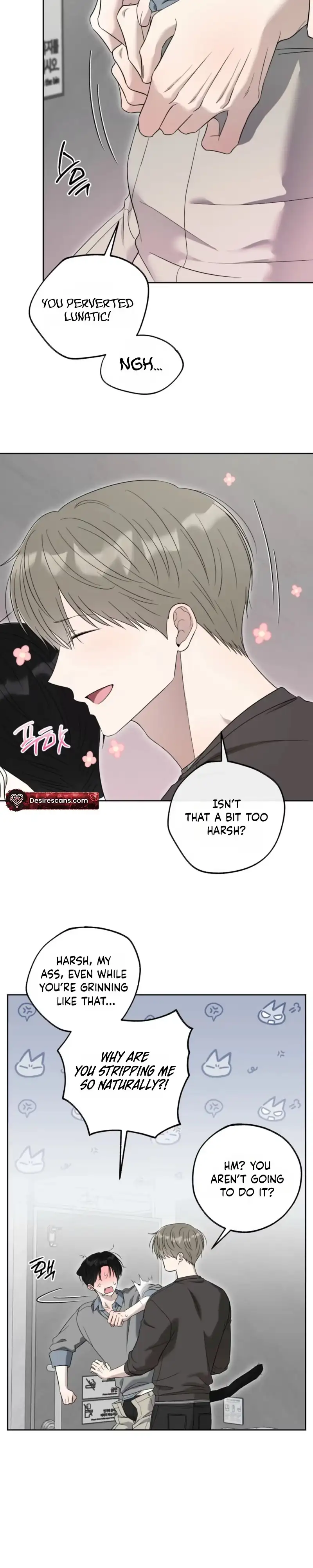 The Purrfect Match Chapter 41 page 12 - 