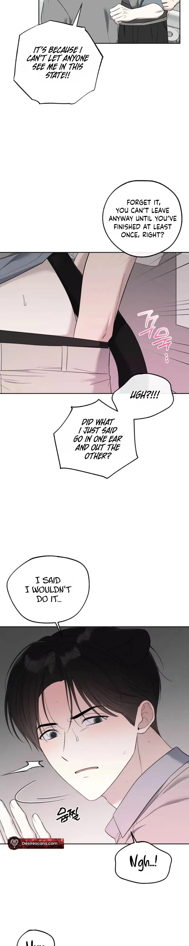 The Purrfect Match Chapter 41 page 14 - 