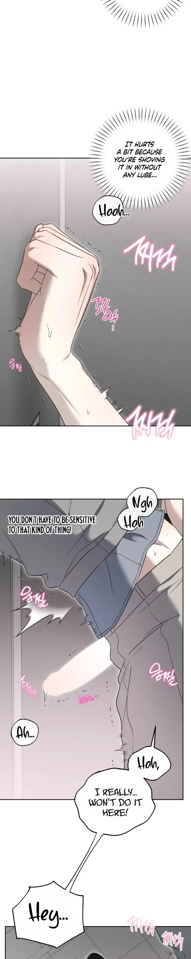 The Purrfect Match Chapter 41 page 16 - 