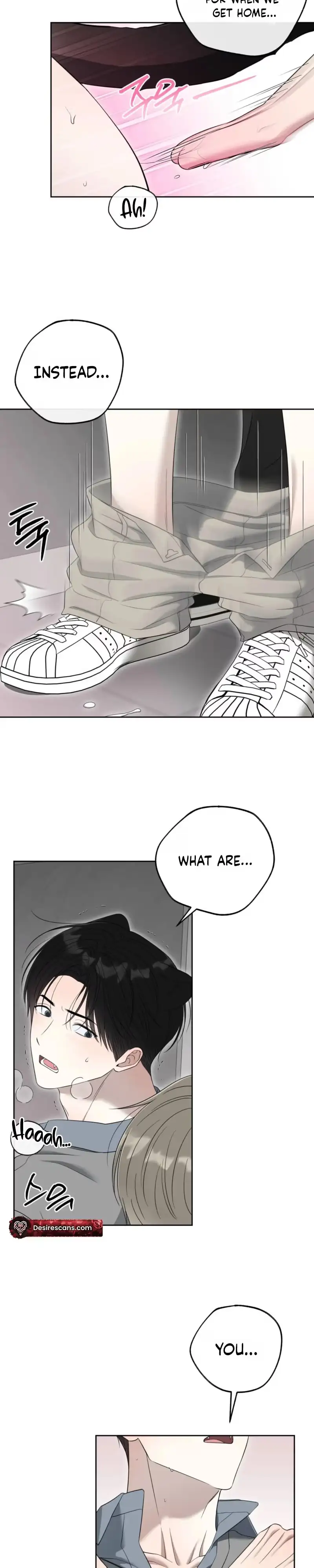 The Purrfect Match Chapter 41 page 18 - 