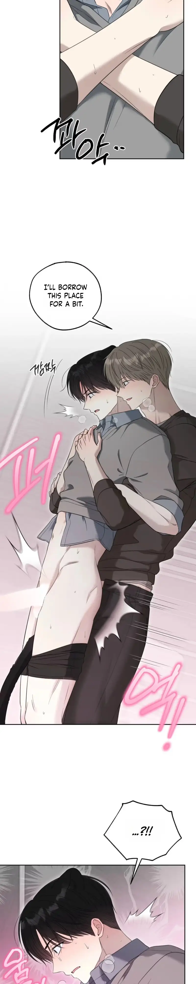 The Purrfect Match Chapter 41 page 19 - 