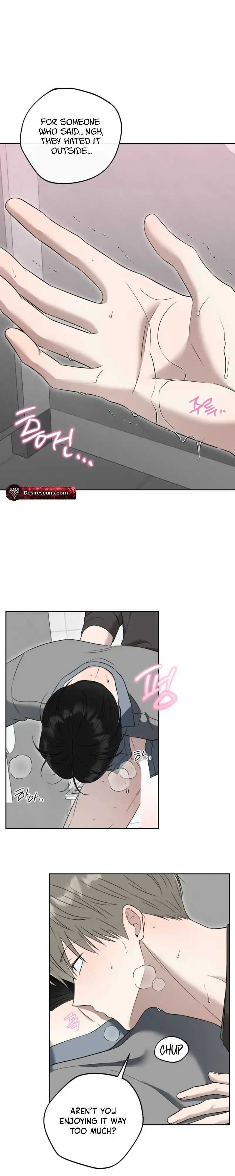 The Purrfect Match Chapter 41 page 25 - 