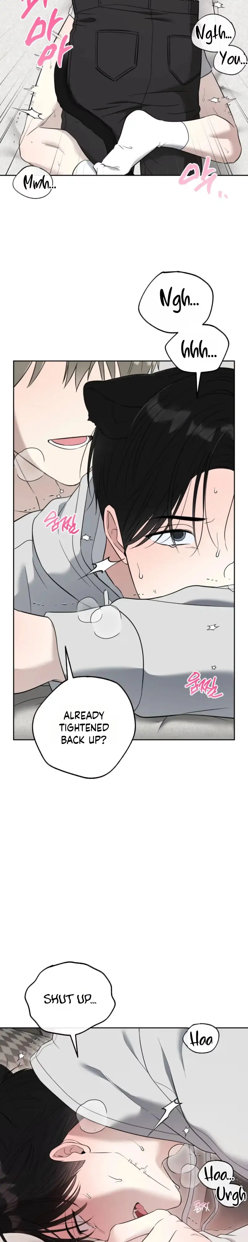 The Purrfect Match Chapter 42 page 20 - 