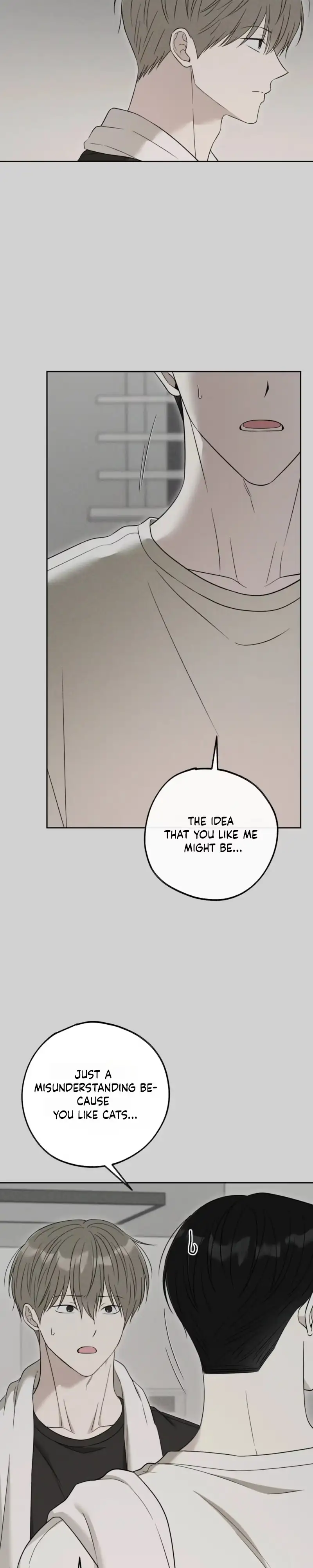 The Purrfect Match Chapter 43 page 19 - 