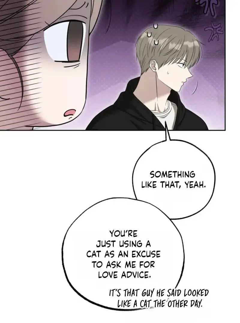 The Purrfect Match Chapter 46 page 12 - 