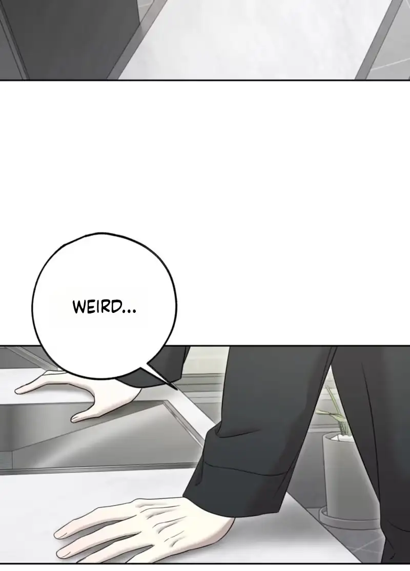 The Purrfect Match Chapter 46 page 16 - 