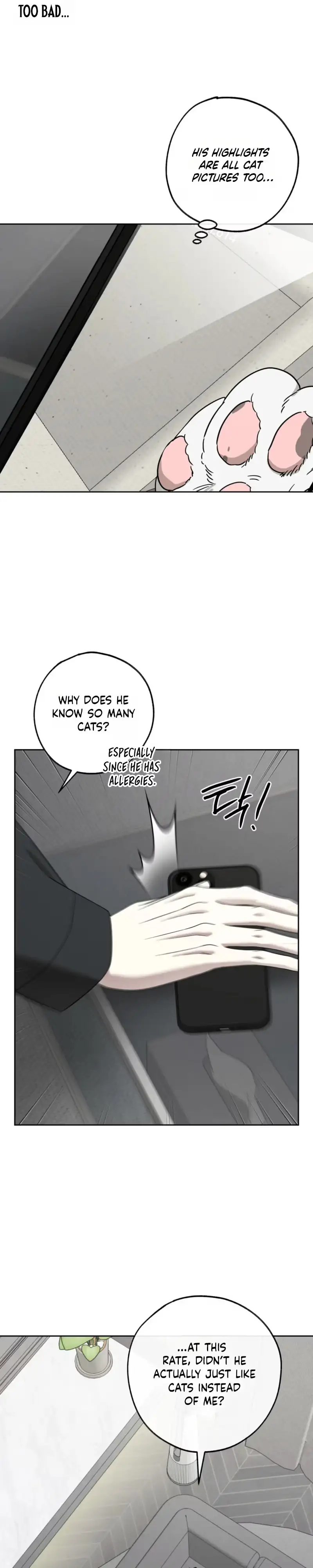 The Purrfect Match Chapter 46 page 26 - 