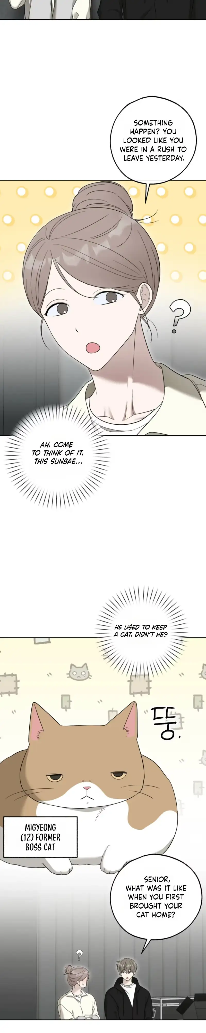 The Purrfect Match Chapter 46 page 7 - 