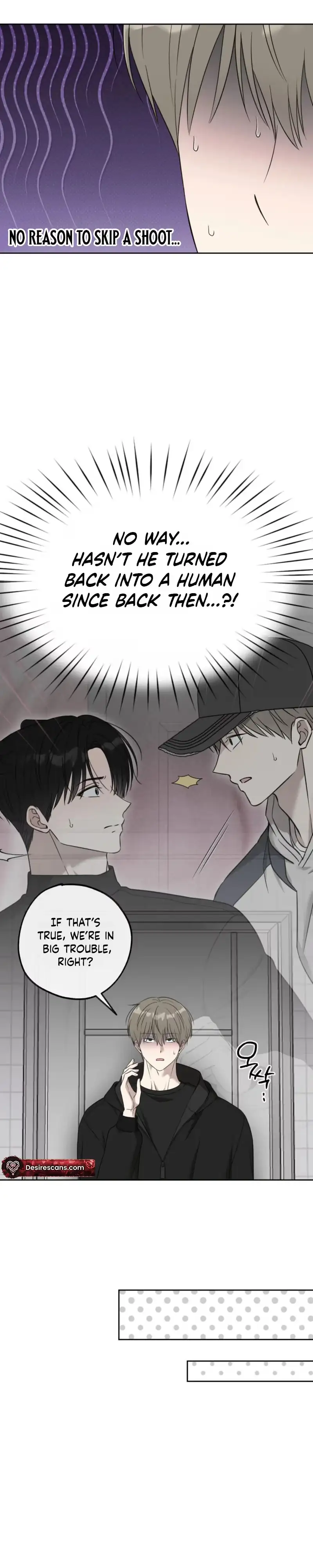 The Purrfect Match Chapter 47 page 14 - 
