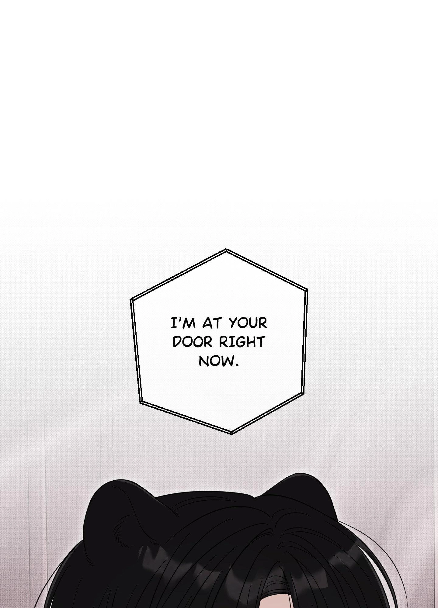 The Purrfect Match Chapter 48 page 1 - 