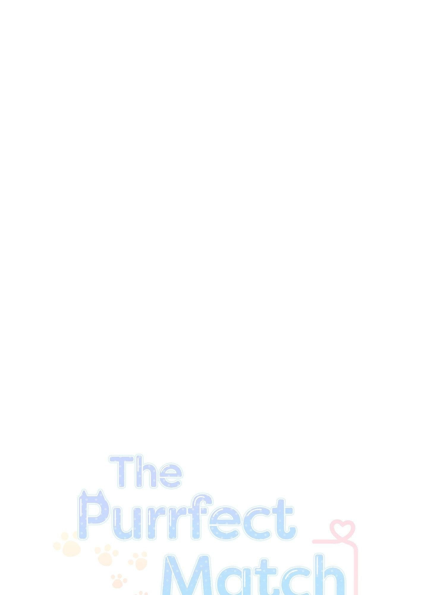 The Purrfect Match Chapter 48 page 3 - 
