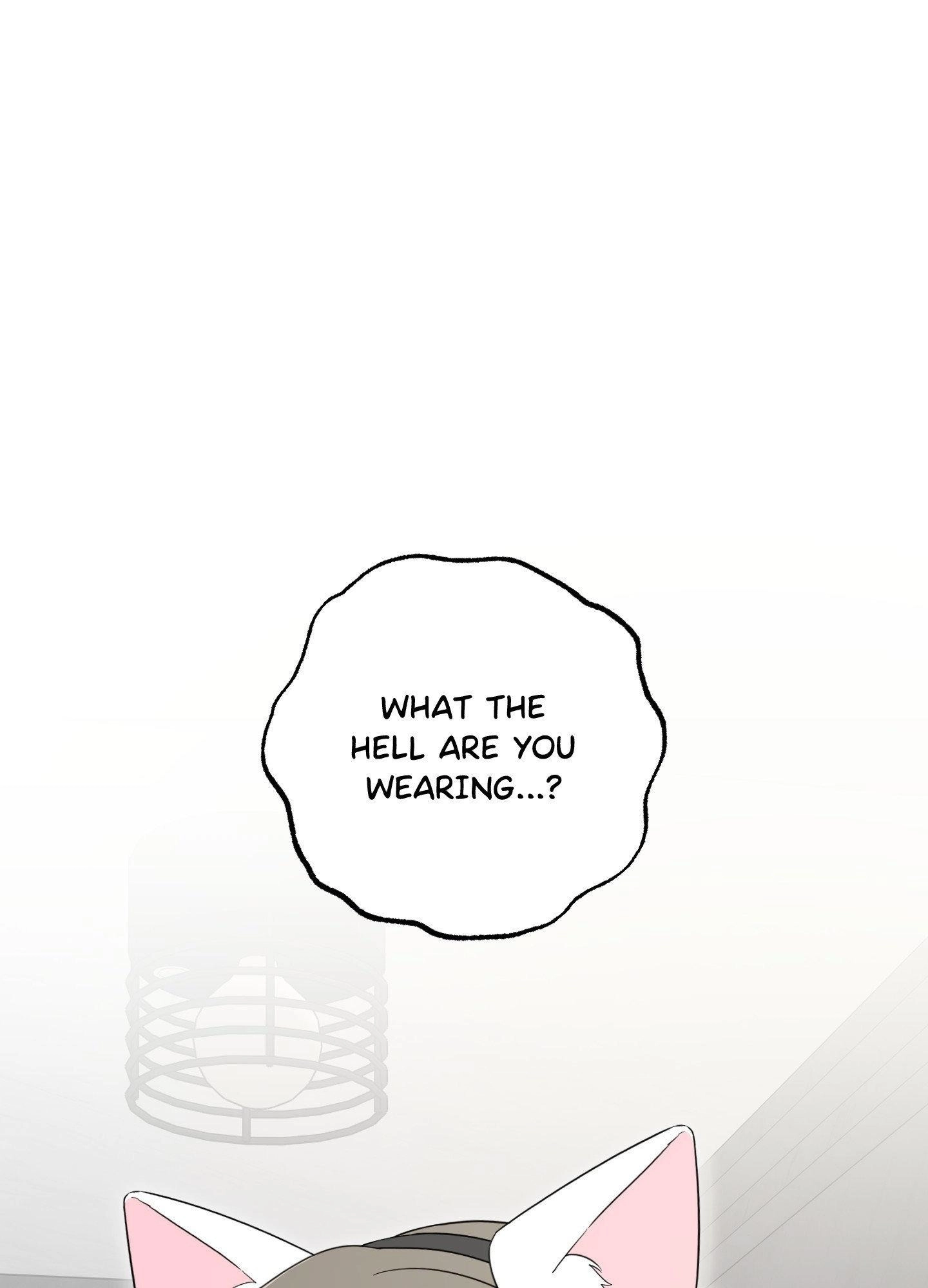 The Purrfect Match Chapter 48 page 26 - 