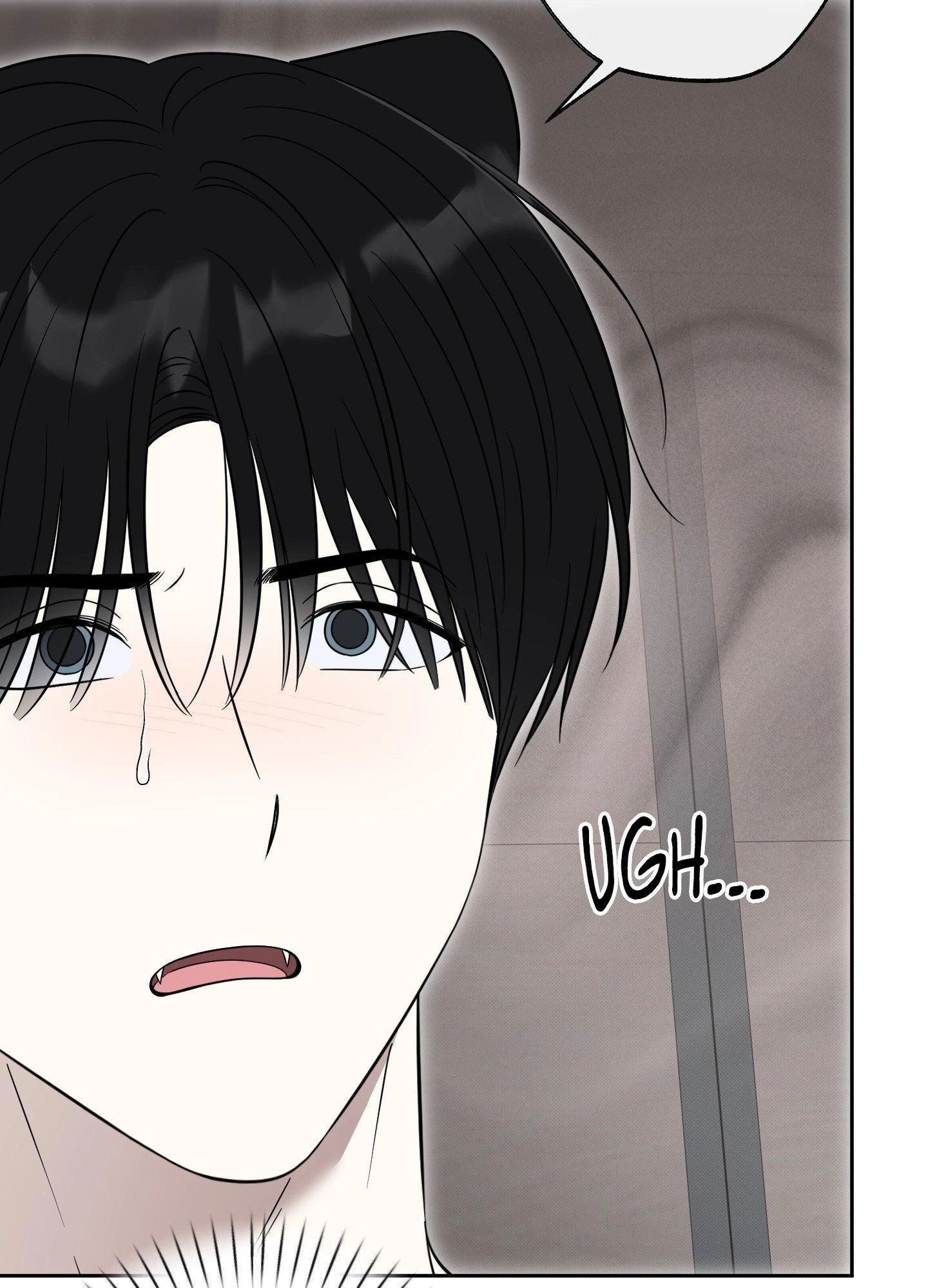 The Purrfect Match Chapter 48 page 48 - 