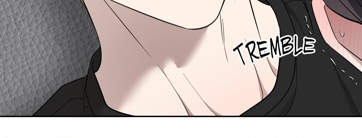 The Purrfect Match Chapter 48 page 91 - 