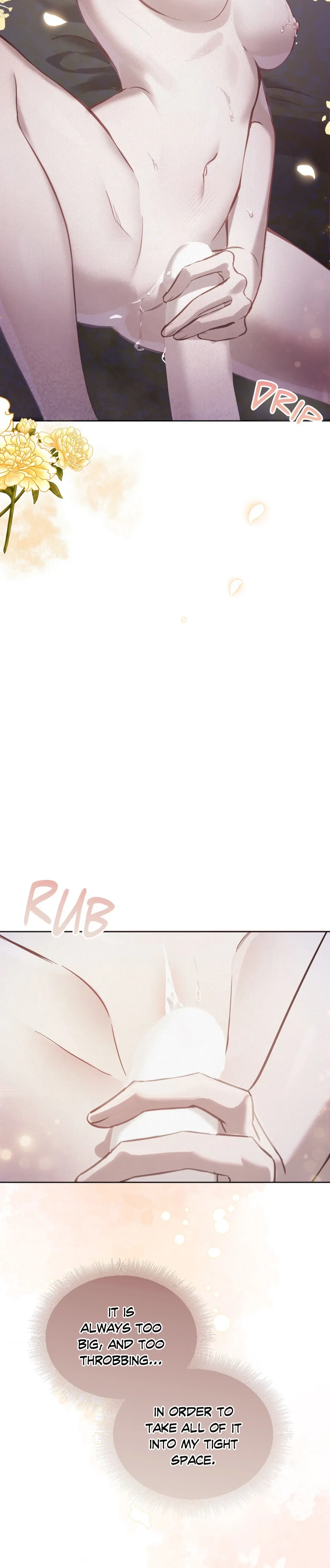 The Queen's Secret Lessons Chapter 8 page 13 - 