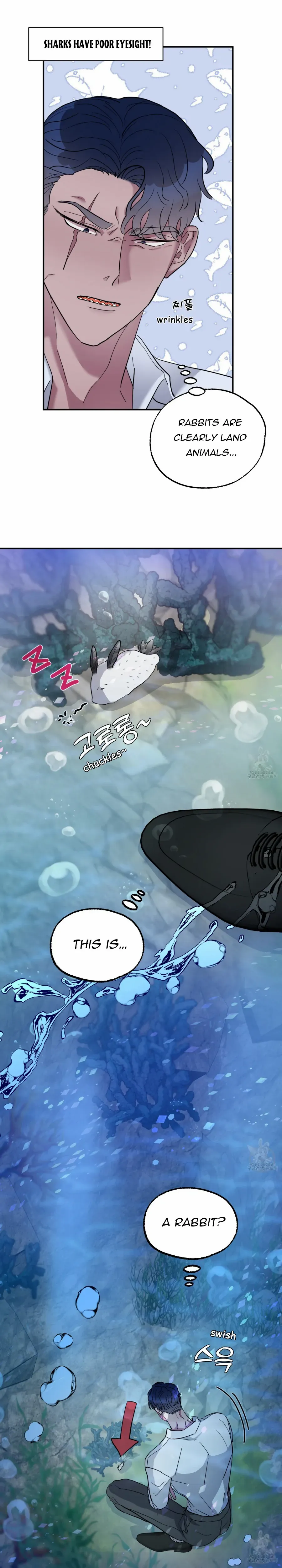 The Rabbit's Way in the Shark's Realm Chapter 1 page 5 - 