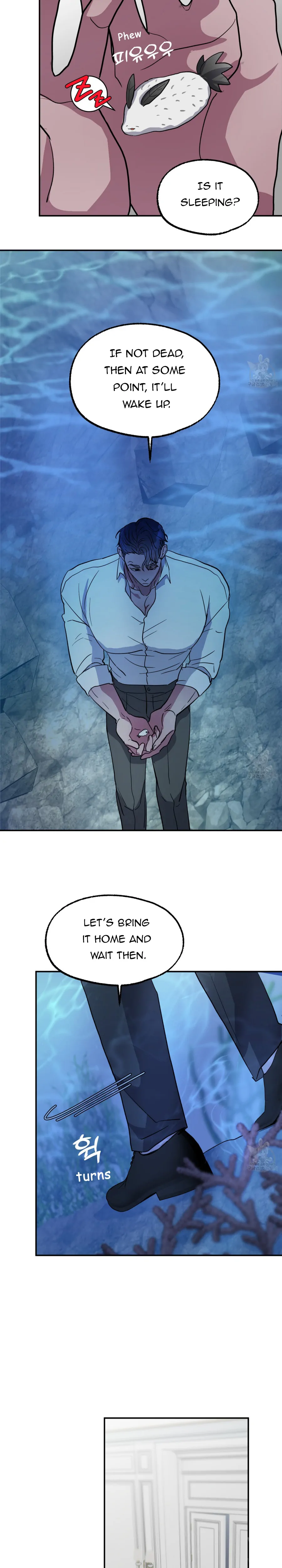 The Rabbit's Way in the Shark's Realm Chapter 1 page 7 - 