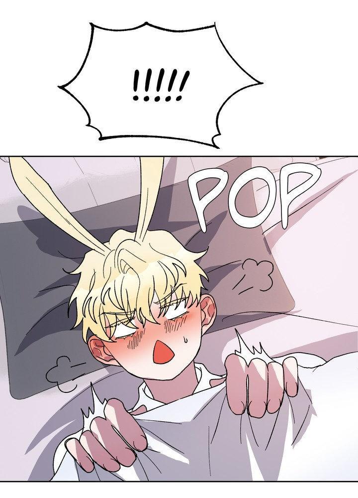 The Rabbit's Way in the Shark's Realm Chapter 17 page 29 - 
