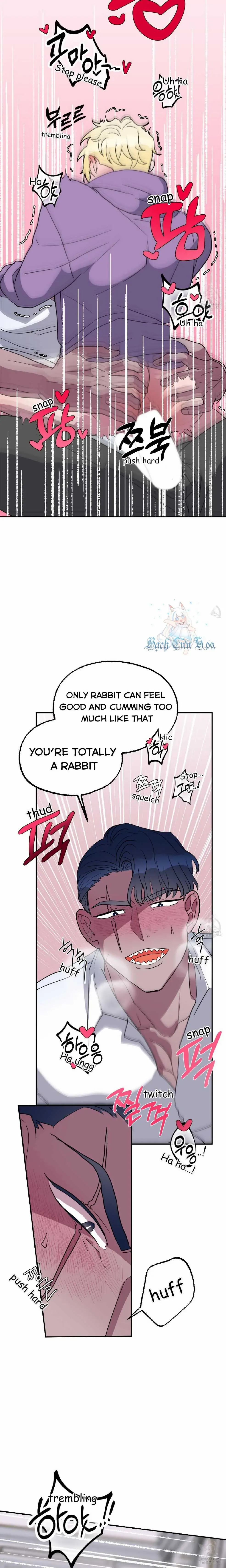 The Rabbit's Way in the Shark's Realm Chapter 3 page 16 - 