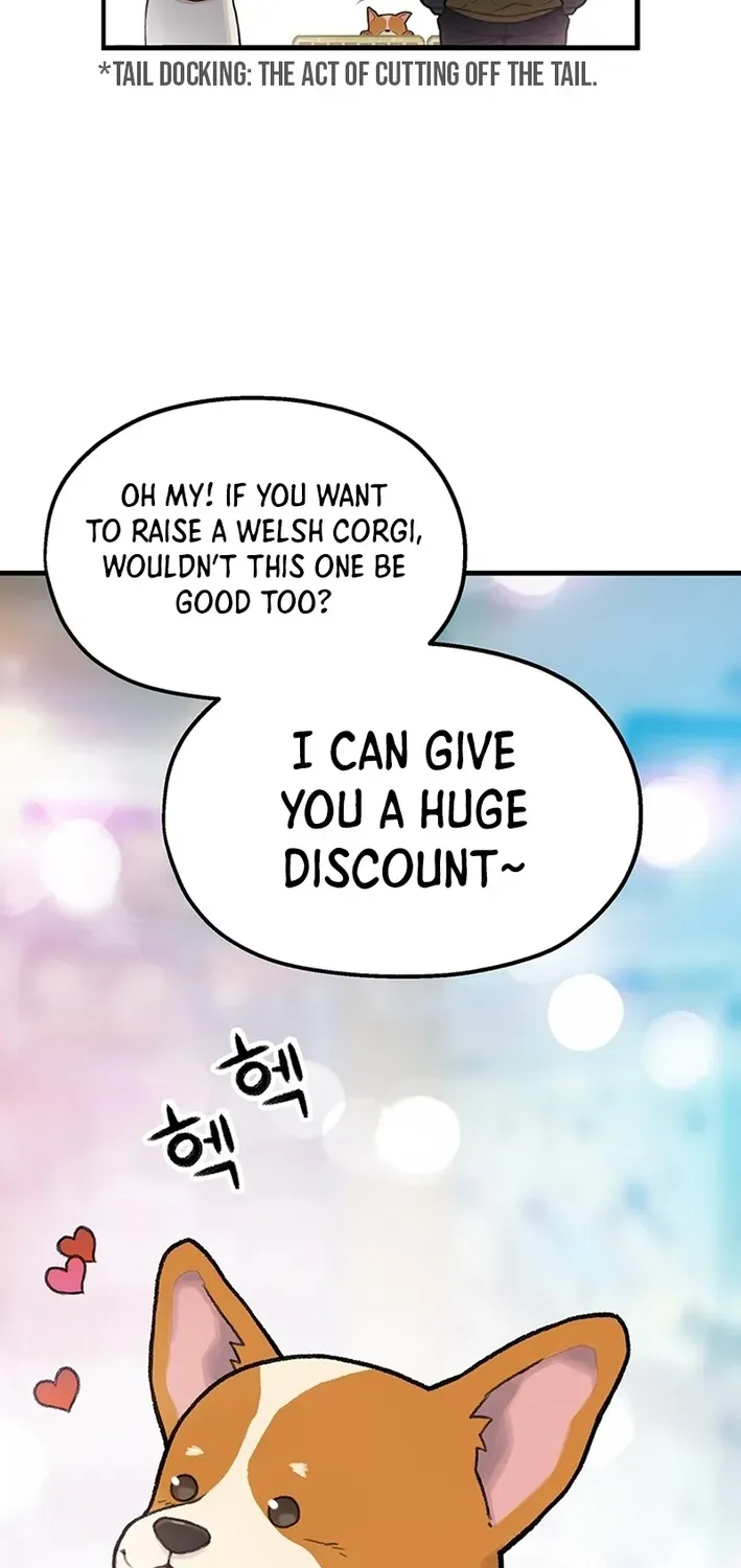 The Rainbow Bridge Guardian Chapter 1 page 11 - 